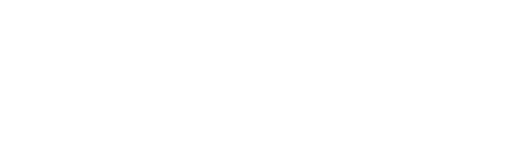 Accurate Network Services logo