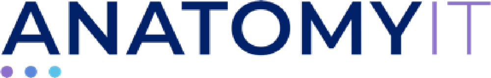 ANATOMY_IT. logo