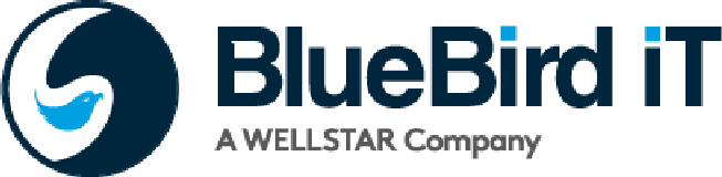 BlueBird iT Solutions logo