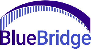 BlueBridge Networks logo