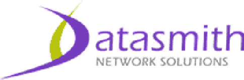 Datasmith Network Services logo