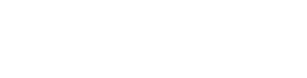 DigiSOC logo