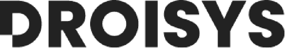 Droisys Inc. logo