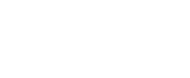 DSI Tech logo