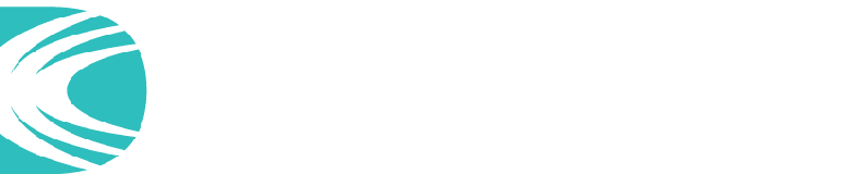 Dynamic Computer Corporation logo