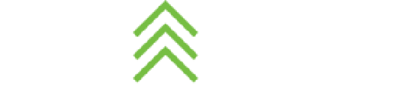Five Nines logo