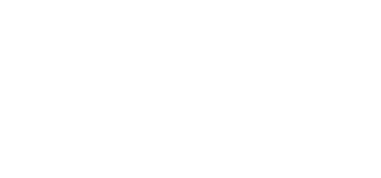 L.I. Server Solutions logo