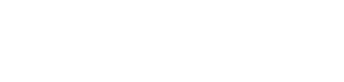 Lanspeed logo