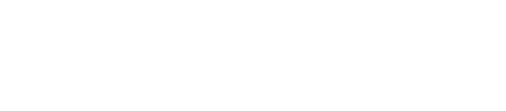 Lbmc Financial Services logo