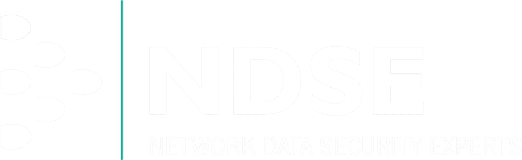 NDSE logo
