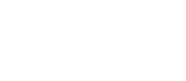 Nemsys logo