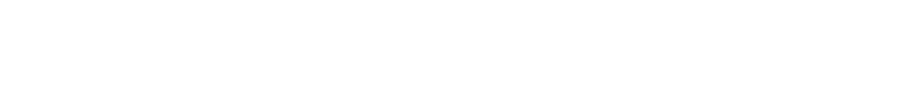 Netpluz Asia logo
