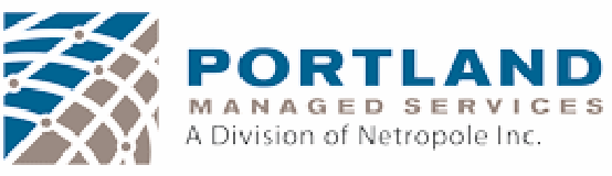 Netropole logo