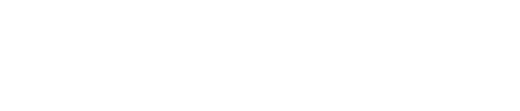 NetSecurity Tecnologia logo
