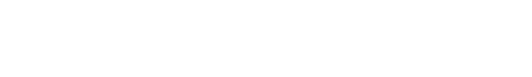 Optimal Networks logo