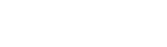 Sentinel Technologies logo