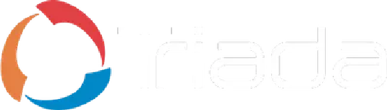 Triada Networks logo