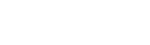 Velo IT Group logo