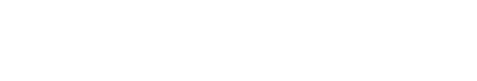 VirtualArmour logo