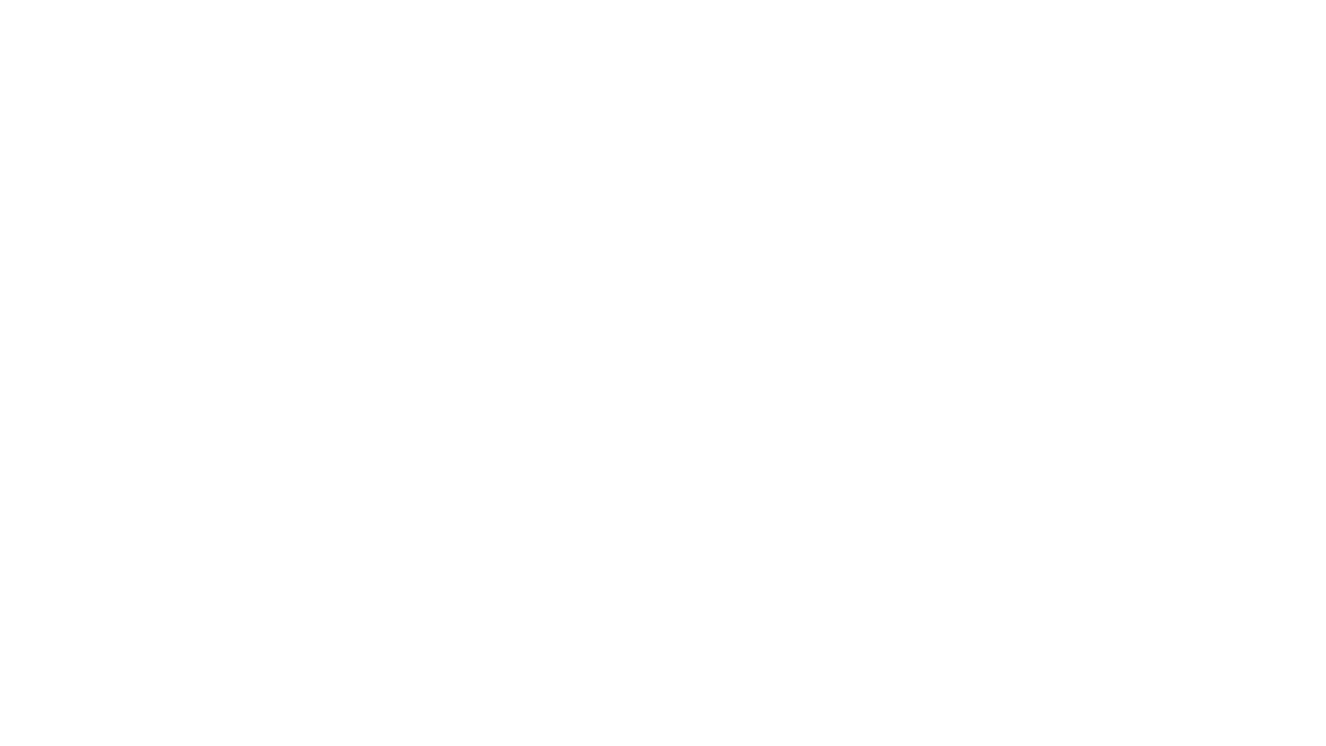 Sainer logo